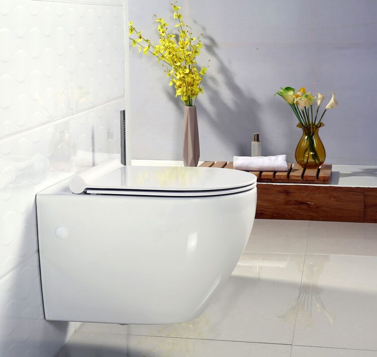 Комплект 5 в 1 (безободковый унитаз BelBagno Sfera-R + инсталляция Geberit) BB046CHR BB2111SC 458.124.21.1